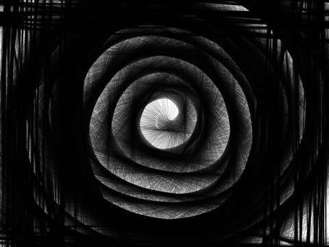 Black rose