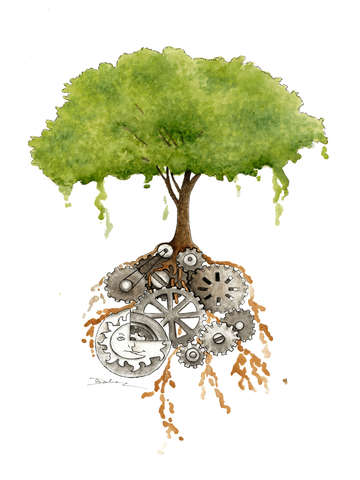 The Mechanics Of Life
