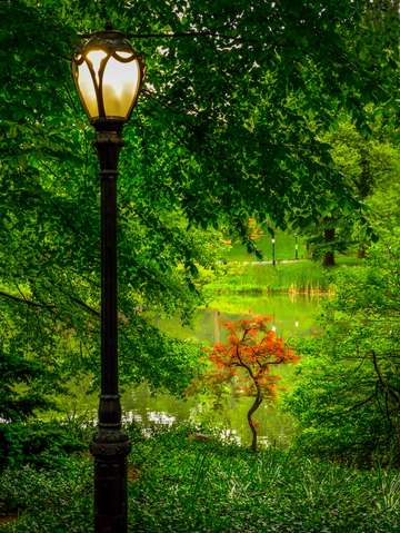 Evening falls in the park streetlamp series