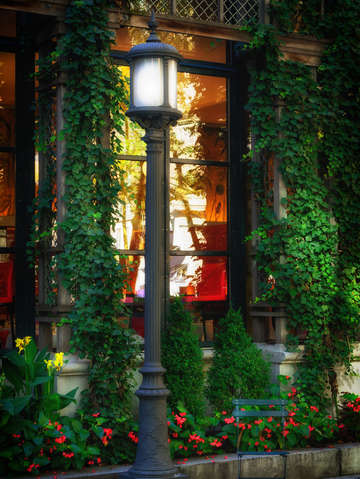 Morning in bryant park streetlamp series