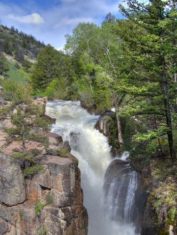 Shell falls