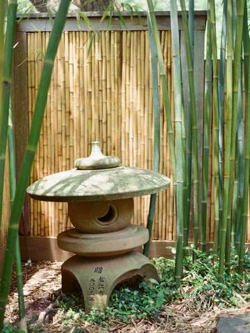 Japanese garden