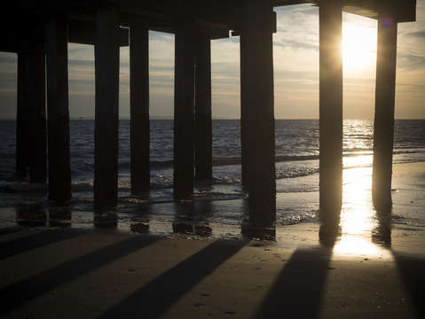 Coney sunset