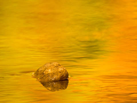 Fall color abstract