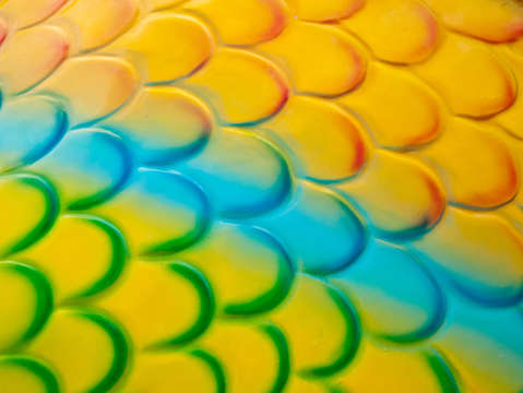 Colorful fish scales