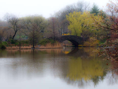 Central park 01