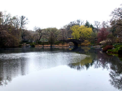 Central park 02