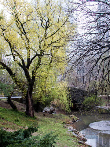 Central park 04