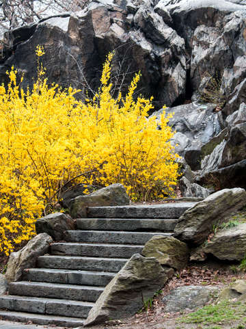 Central park 06