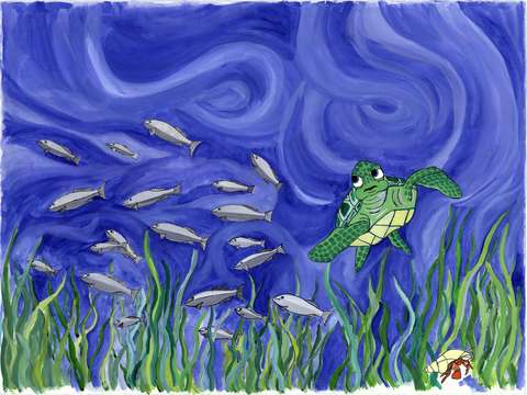 Sea turtle chasing minnows