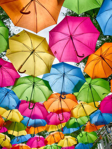 Happiness under rain
