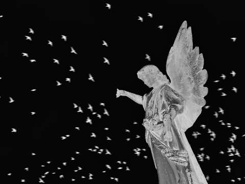 Dark angel