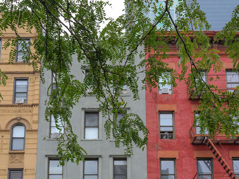 Tree in front of some buildings lower east side ma