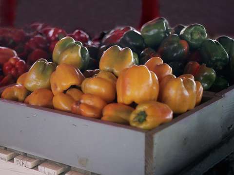 Peppers