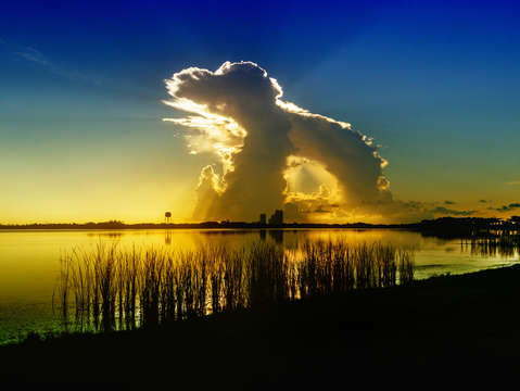 Dog cloud over lake shelby blue gold 0178