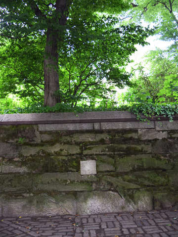 Central park 8 2