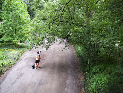 Central park 9 2