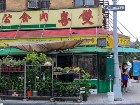 Chinese plant shop on the lower east side