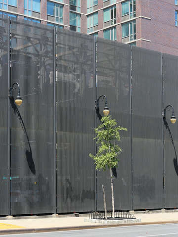 Tree by a fence on the lower east side
