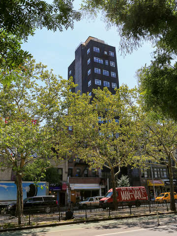 Building framed through trees lower east side
