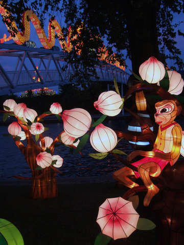 Chinese lantern festival toronto monkey and blosso