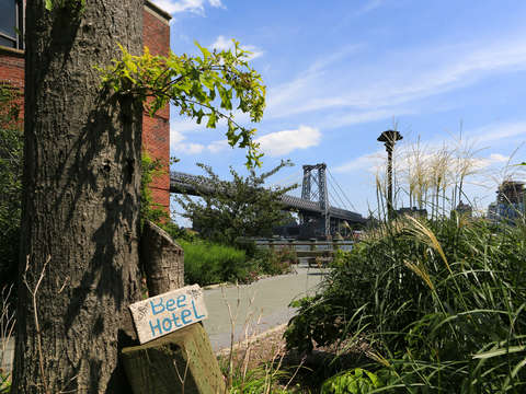 Bee hotel by the bridge
