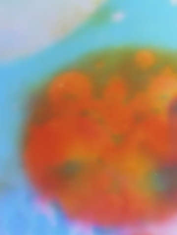 Red planet 01989