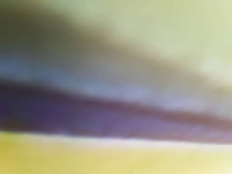 Distant thunder 01555
