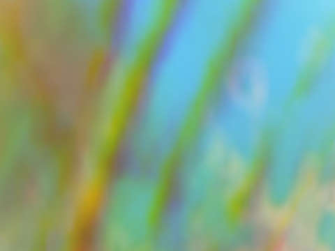 Spring meadow 02282