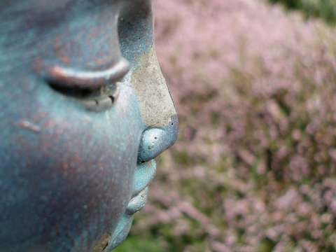 Beholding the Cries of the World