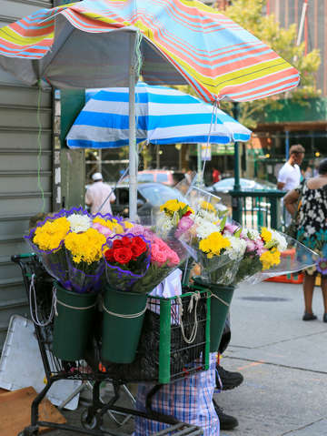 Flower stand harlem nyc new york