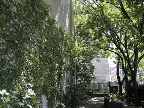 Green oasis harlem nyc new york