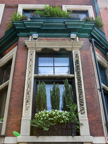 Window garden harlem nyc new york