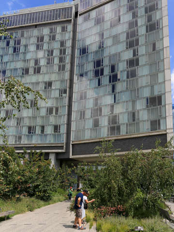 Looking at plants on the high line chelsea nyc
