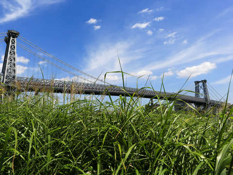 Williamsburg bridge in lower east side with grass
