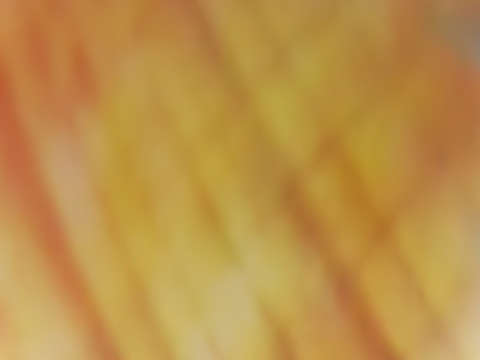 Orange sherbet 02258