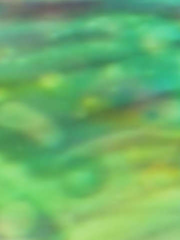 Green meadow 02213