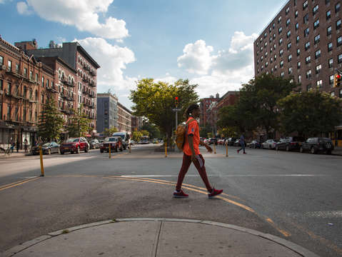 Jay walks