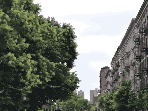 Urban foliage