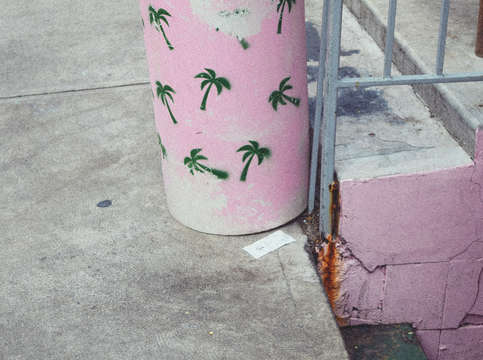 Tropical trash