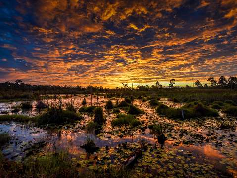 Blanket of clouds over wetlands