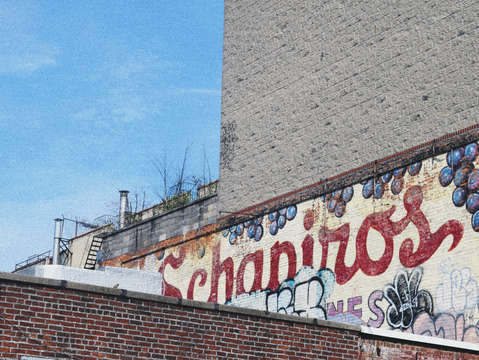 Schapiros