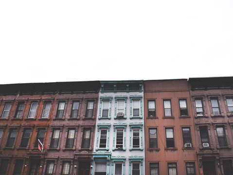 Windows to harlem