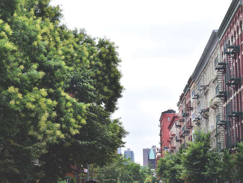 Sun in harlem