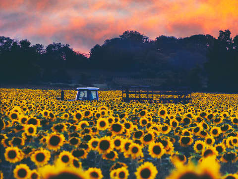 Ride through heaven