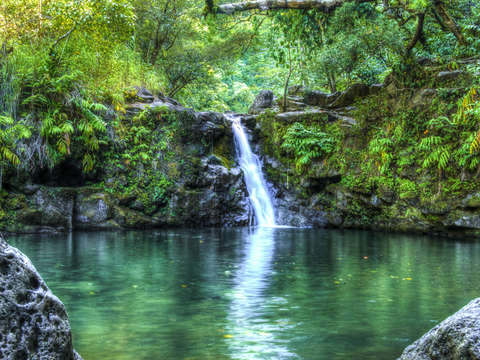 Waikamoi falls maui