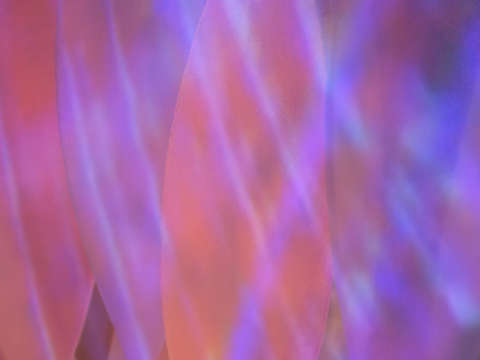 Purple glow 01239