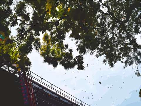 Harlem bridge