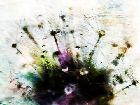 Give way to tears ii