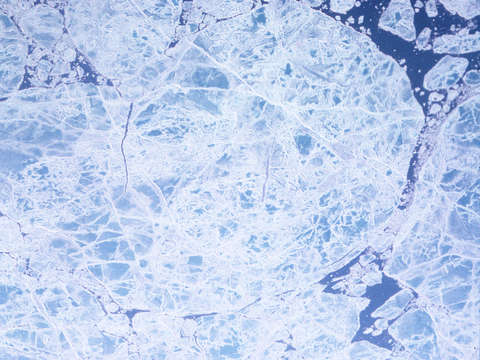 Polar ice cap 1
